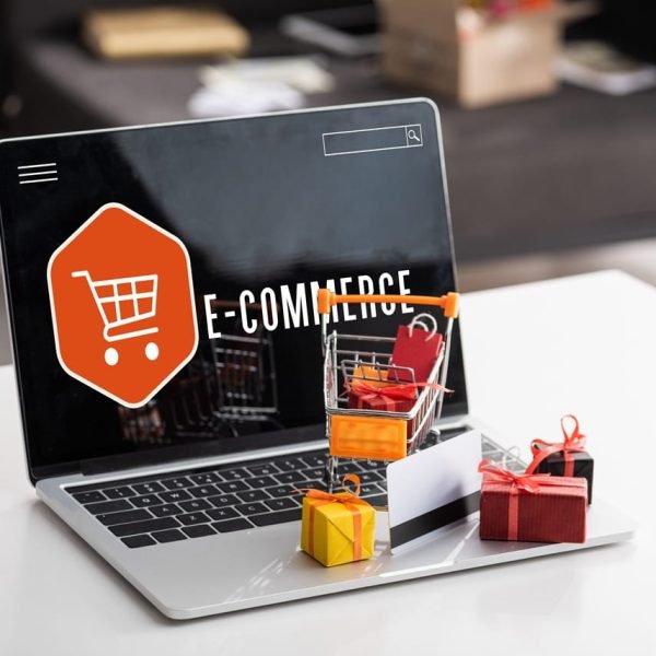 Ecommerce Website Development