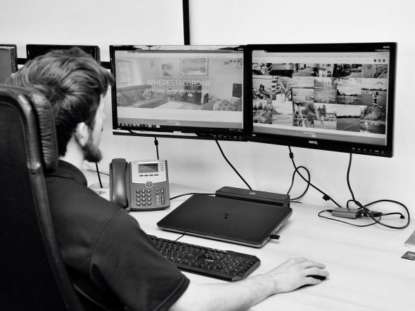 Web Design & Development