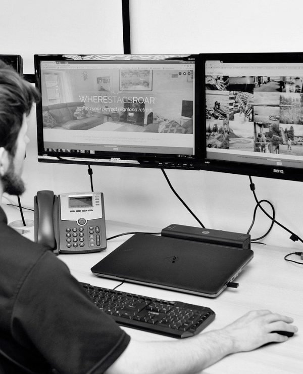 Web Design & Development